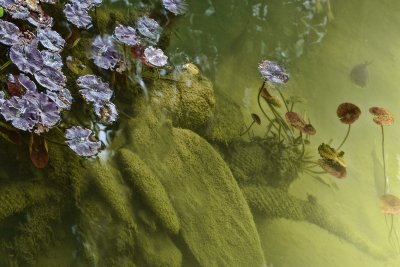 Mar: Reflections at the Alhambra.jpg