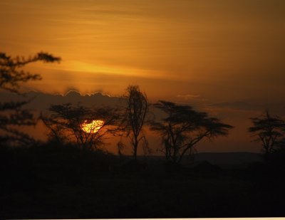 African Skies.jpg