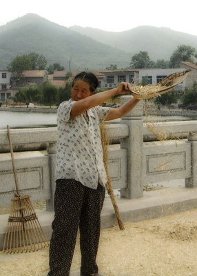 Wind Winnowing in China.jpg