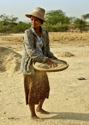 Wind Winnowing in Mandalay.jpg