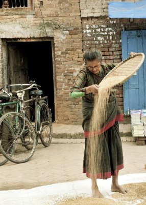 Wind Winnowing in Nepal.jpg