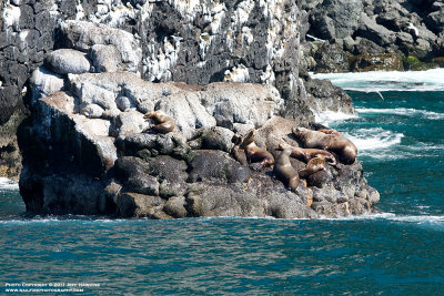 Resurrection Bay