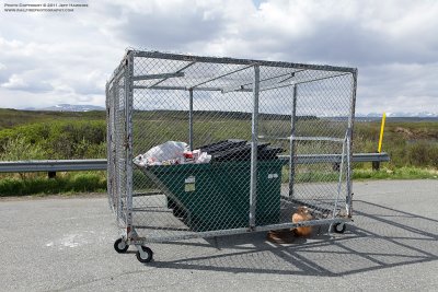 Dumpster Bear Cage