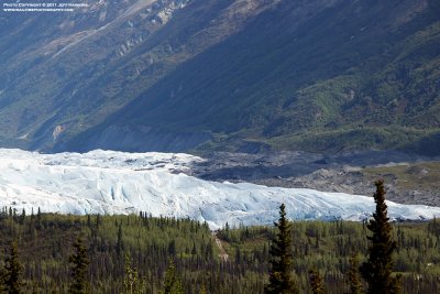 Matanuska Glacier