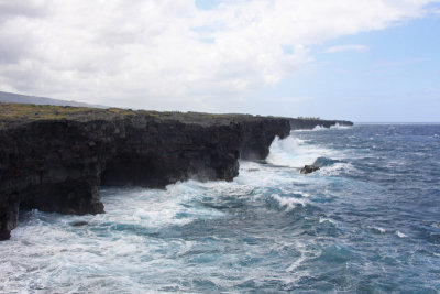 Hawaiian Noddy Habitat:  Sea cliffs near Kalapana, Hawaii.