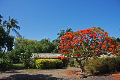 Original Puako home