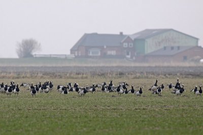 g4/80/793480/3/135874932.HUp10alo.jpg