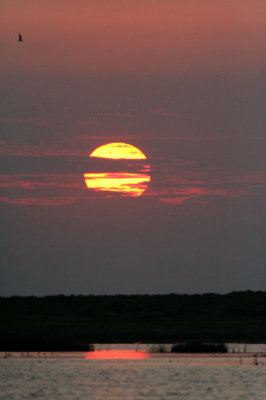 Quintana sunset