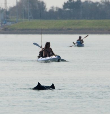 ...from a kayak...