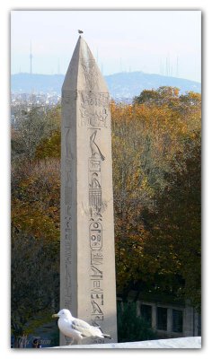 Egyptian Obelisk 