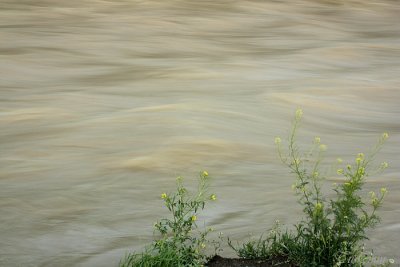 singing river after spring rain