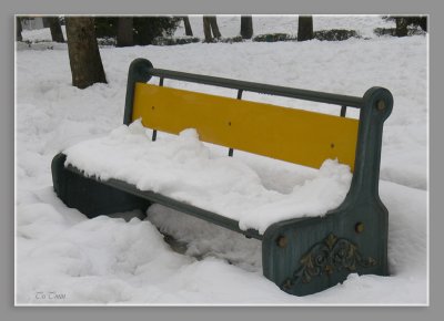 Snowy bench