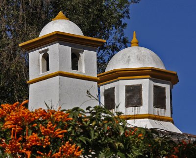 Cupolas and flowers