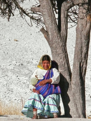Tarahumara Woman Under Tree