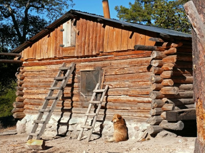 Tarahumara Log House