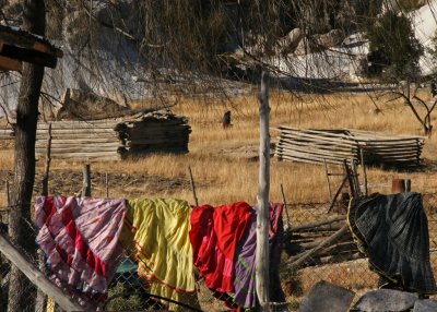 Skirts on Fence