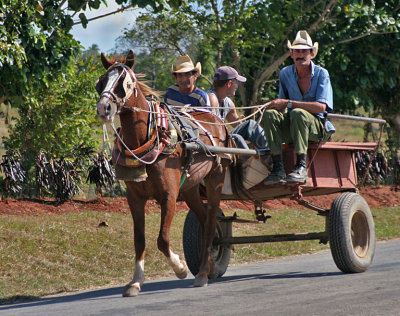Three Men Horse Cart