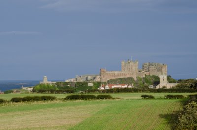 g4/80/826380/3/139891228.7G3Txsae.jpg