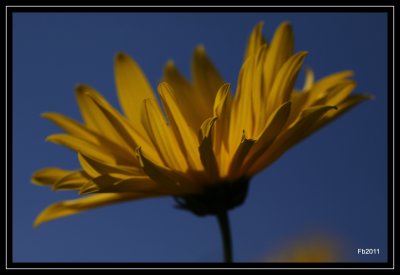 IMG_3907.jpg