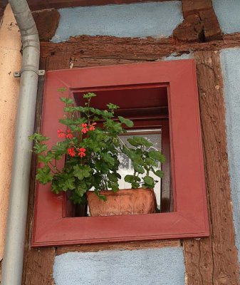 À Eguisheim