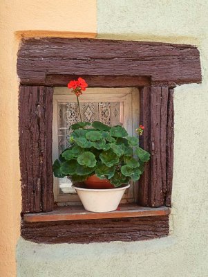 À Eguisheim