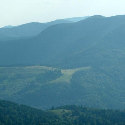 Paysage alsacien