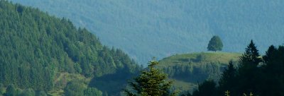 Paysage alsacien