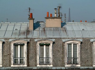 Toujours dernier matin