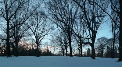 Crpuscule / Twilight on Central Park.jpg