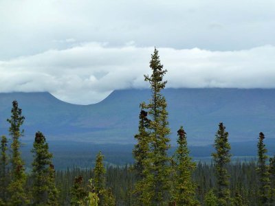 En allant vers Haines / Going towards Haines