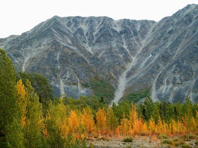 En allant vers Haines / Going towards Haines