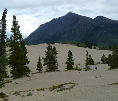Le plus petit désert du monde / The smallest desert in the world