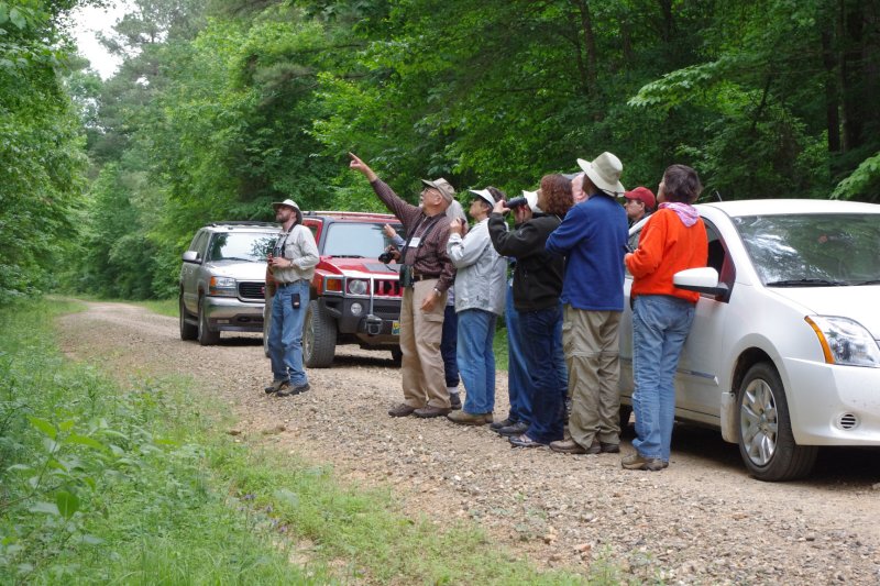 Birding Tour Group