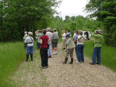 Tour Group