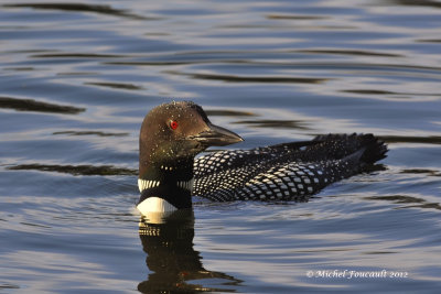 20120618 Plogeon Huard _5708-3.jpg