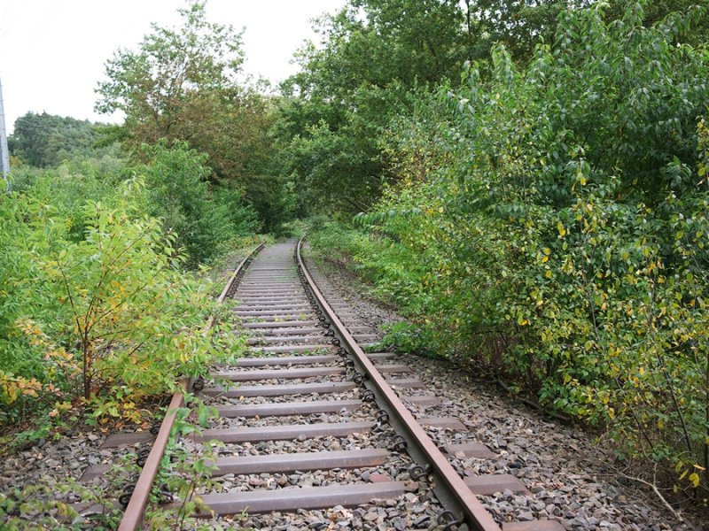 Old Tracks to Nowhere