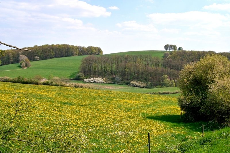 g4/80/968480/2/134161607.zo7GDZeL.jpg