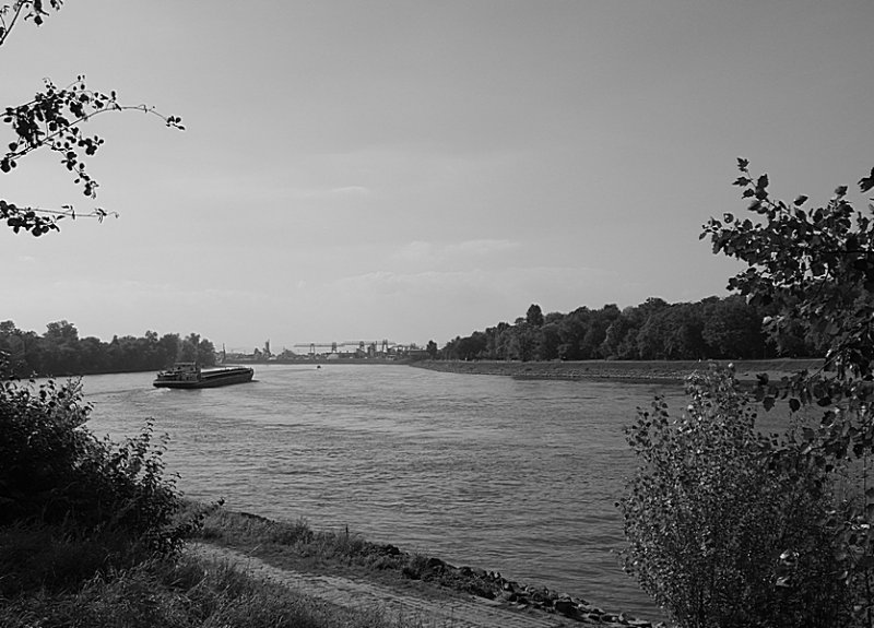 A  look down the Rhine 