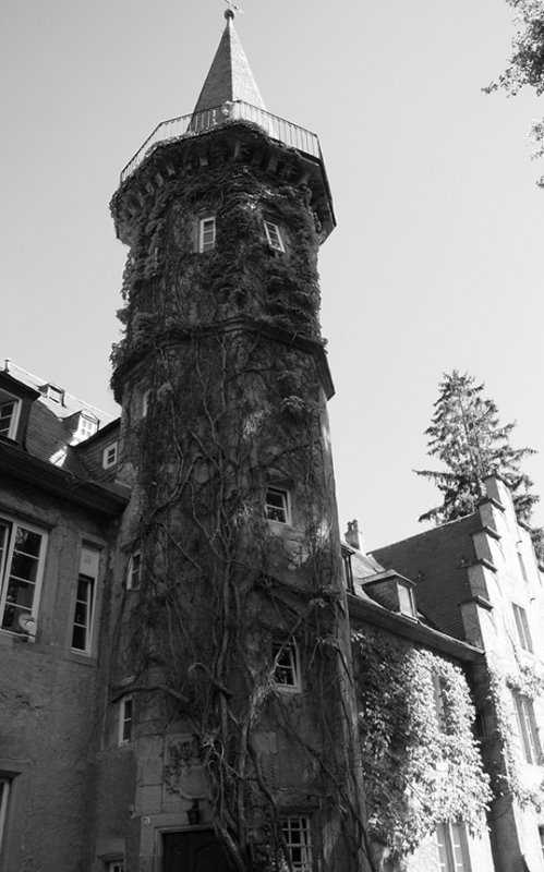 Rapunzel 's Tower
