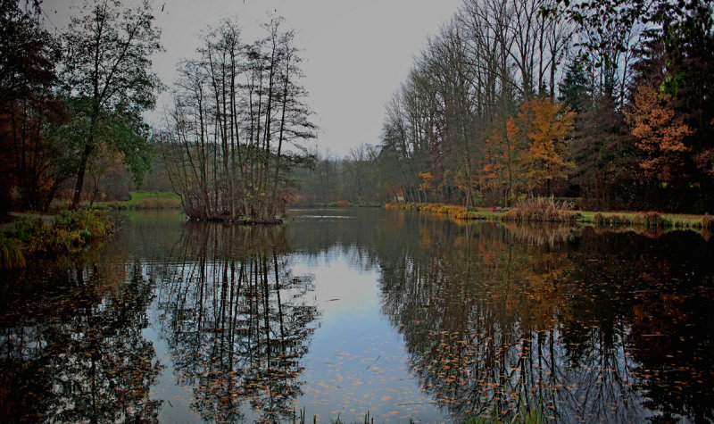 Early Winter Pond