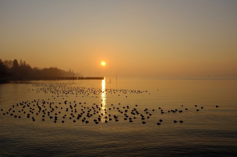 Sunrise at Lake Constance