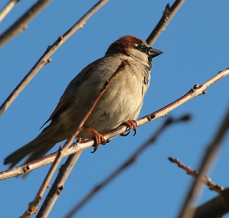 Enjoying the Spring Sun