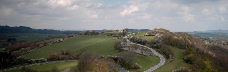 The Look from the Castle Ruin