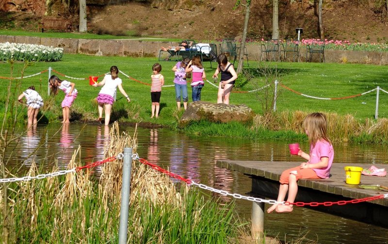 Children in the Park