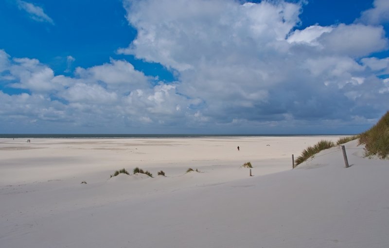 White Sandy Beach