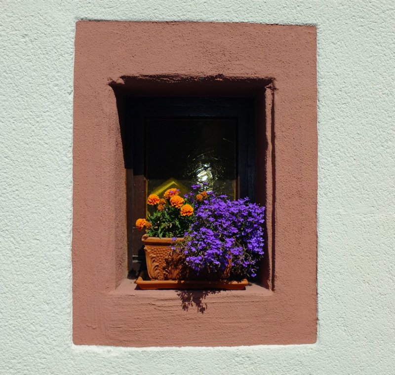 Small Summer Window
