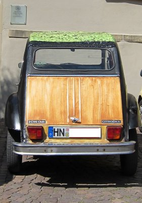 g4/80/968480/3/138752191.trqenmJa.jpg