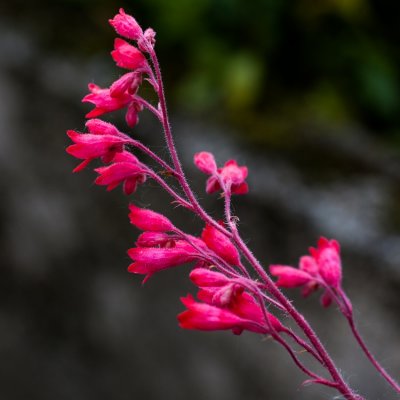 g4/80/968480/3/143680459.8sPOI1l9.jpg