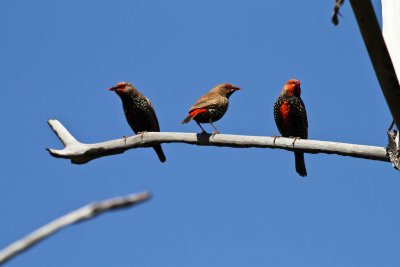 IMG_1409.jpg