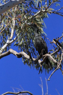 IMG_1447.jpg